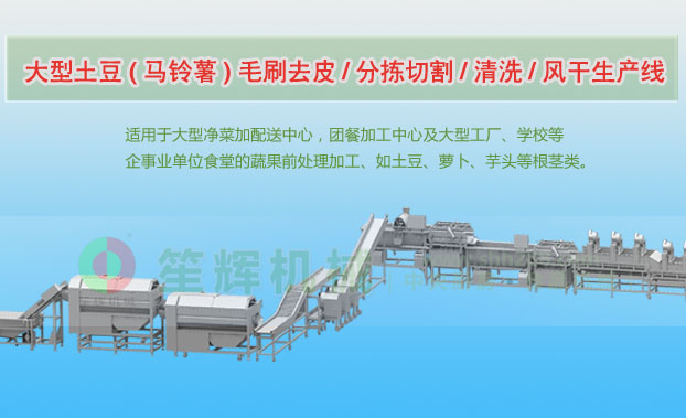 振兴连续式土豆去皮清洗切割风干生产线